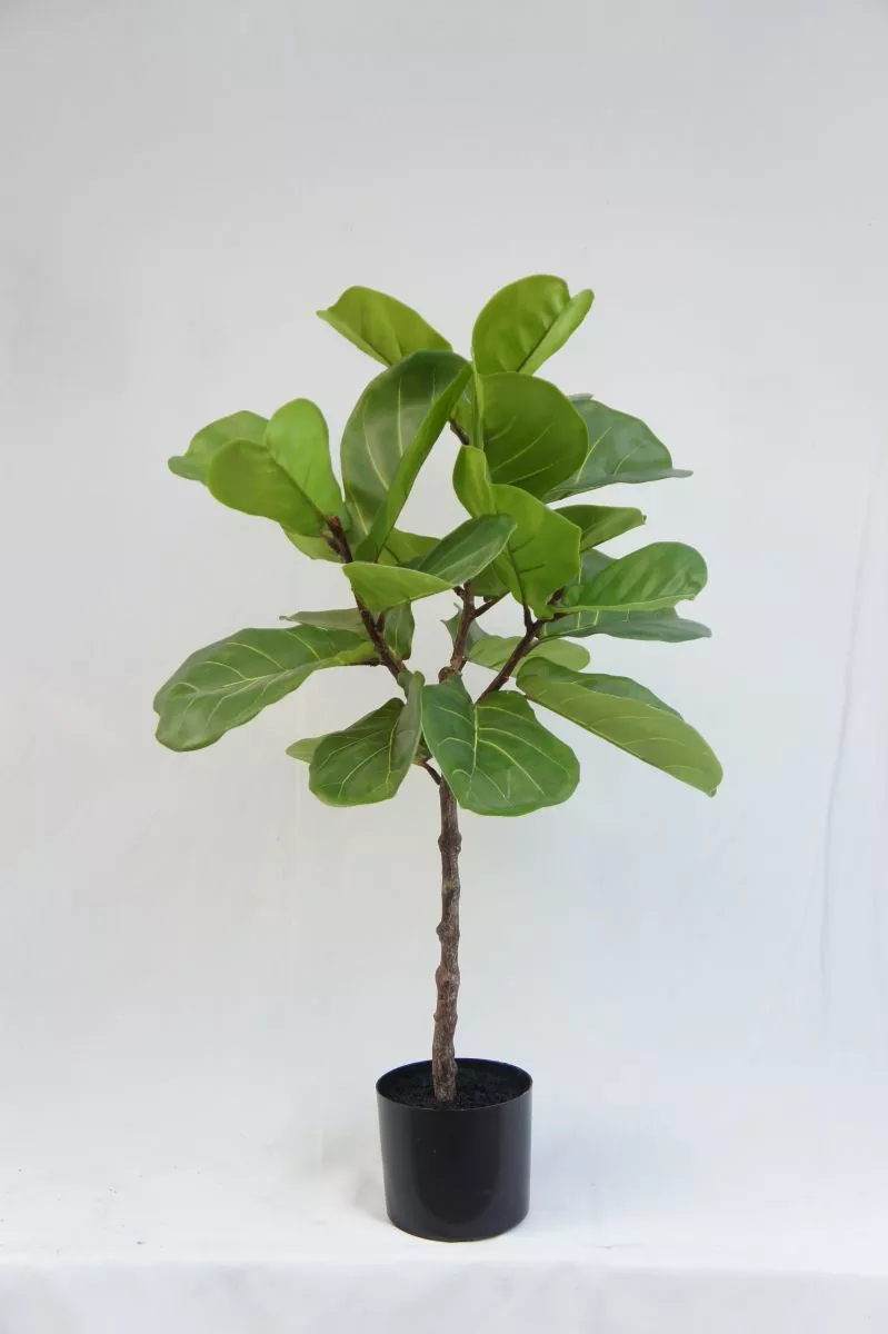 Artificial Plastic Ficus Pandurata Tree, 90 CM